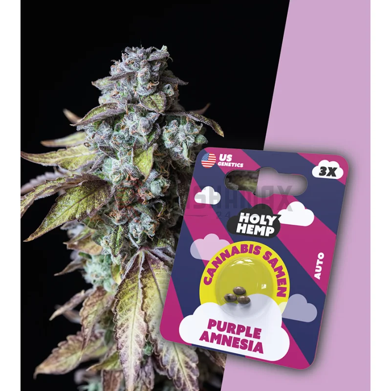 Holy Hemp Purple Amnesia - Cali Seeds